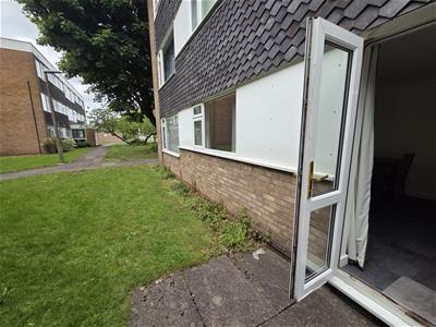 Picture 14